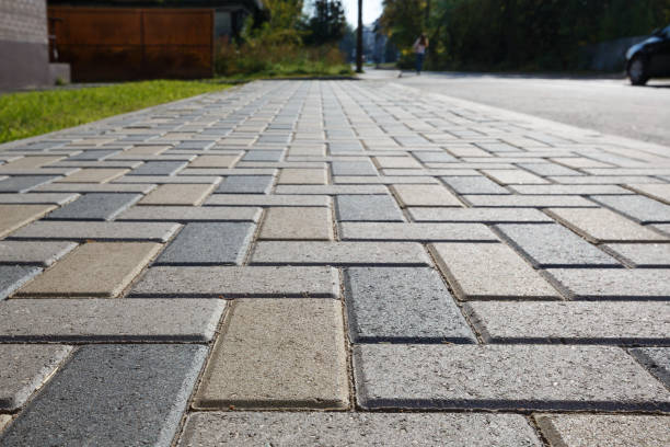 Best Driveway Paving Near Me  in Morton, PA